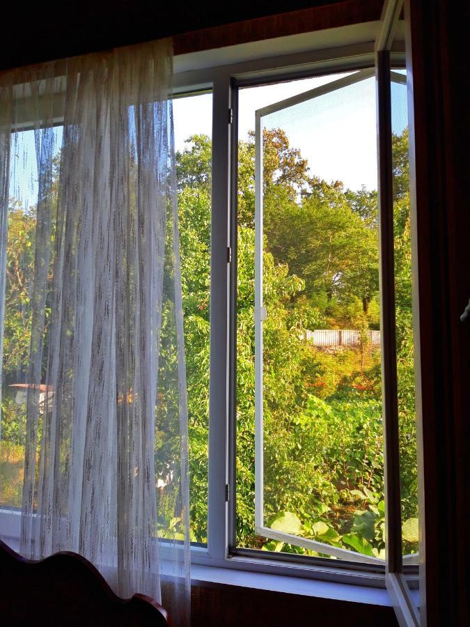 Vaso'S Guesthouse Katskhi Kültér fotó