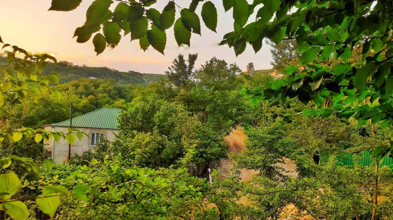 Vaso'S Guesthouse Katskhi Kültér fotó