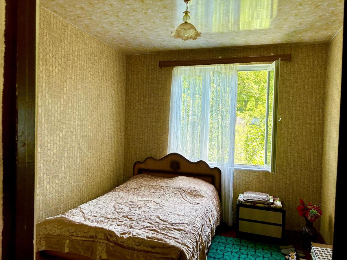 Vaso'S Guesthouse Katskhi Kültér fotó