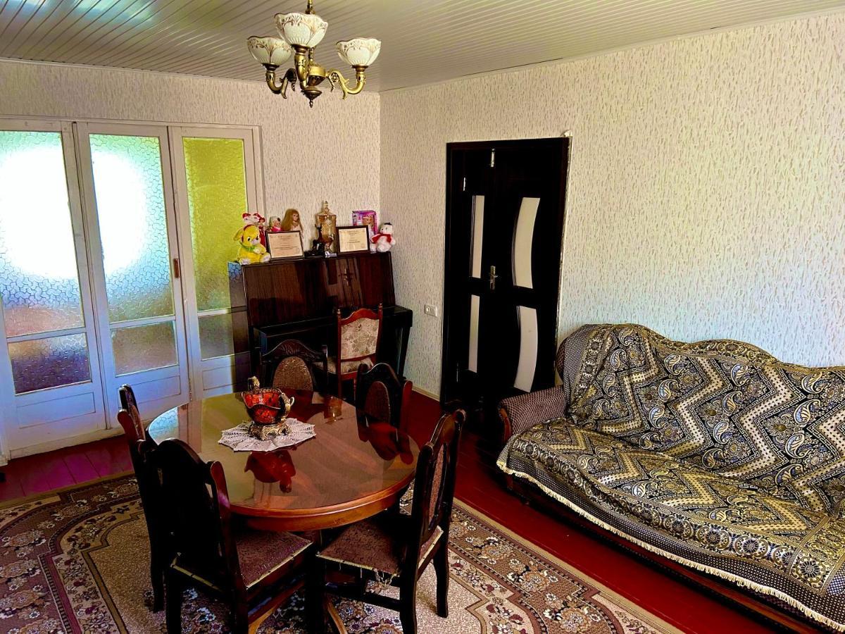 Vaso'S Guesthouse Katskhi Kültér fotó